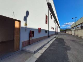 Zona