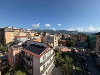 Vista
