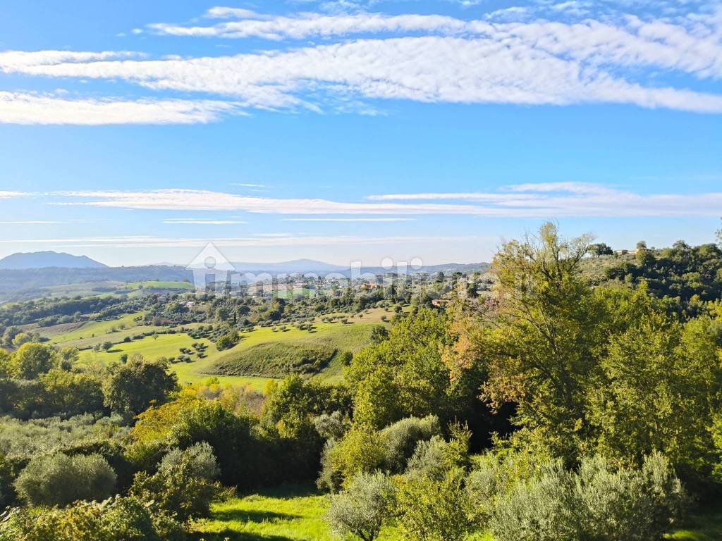 Vista