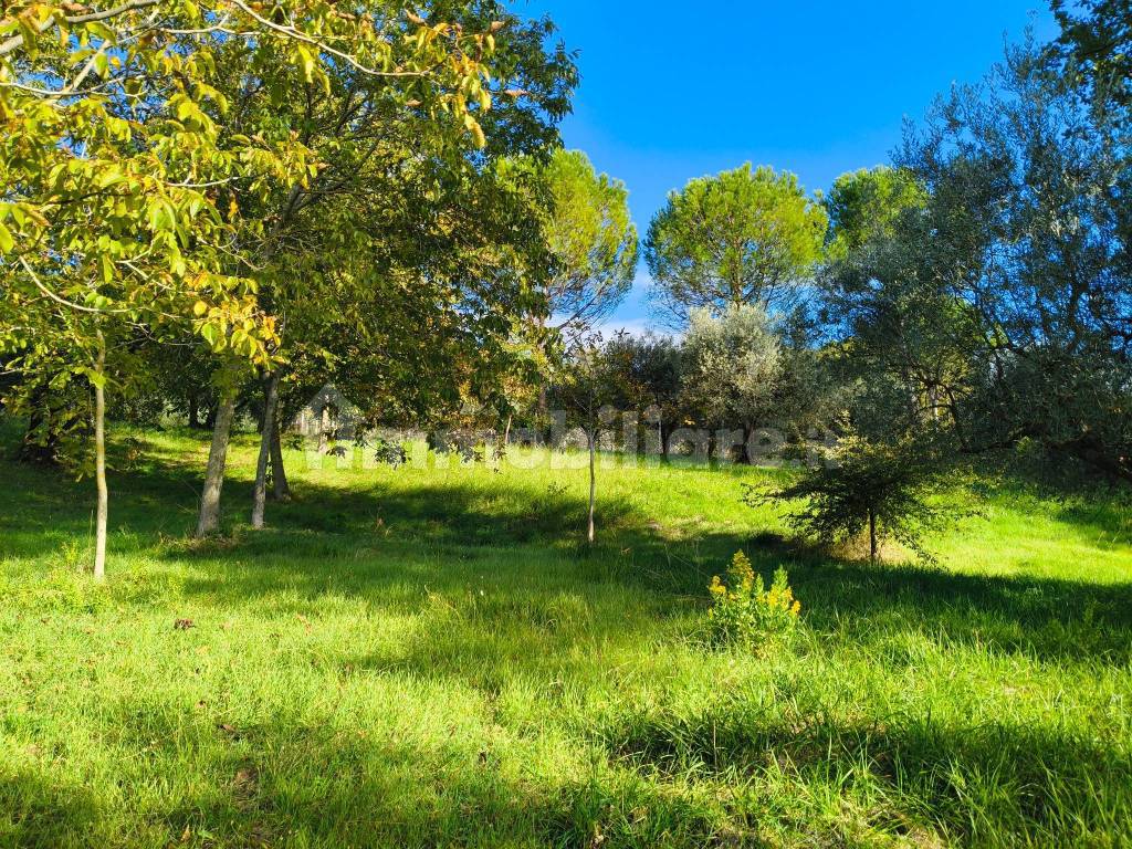 Terreno