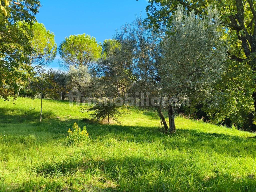 Terreno