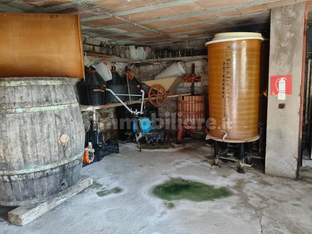 Cantina