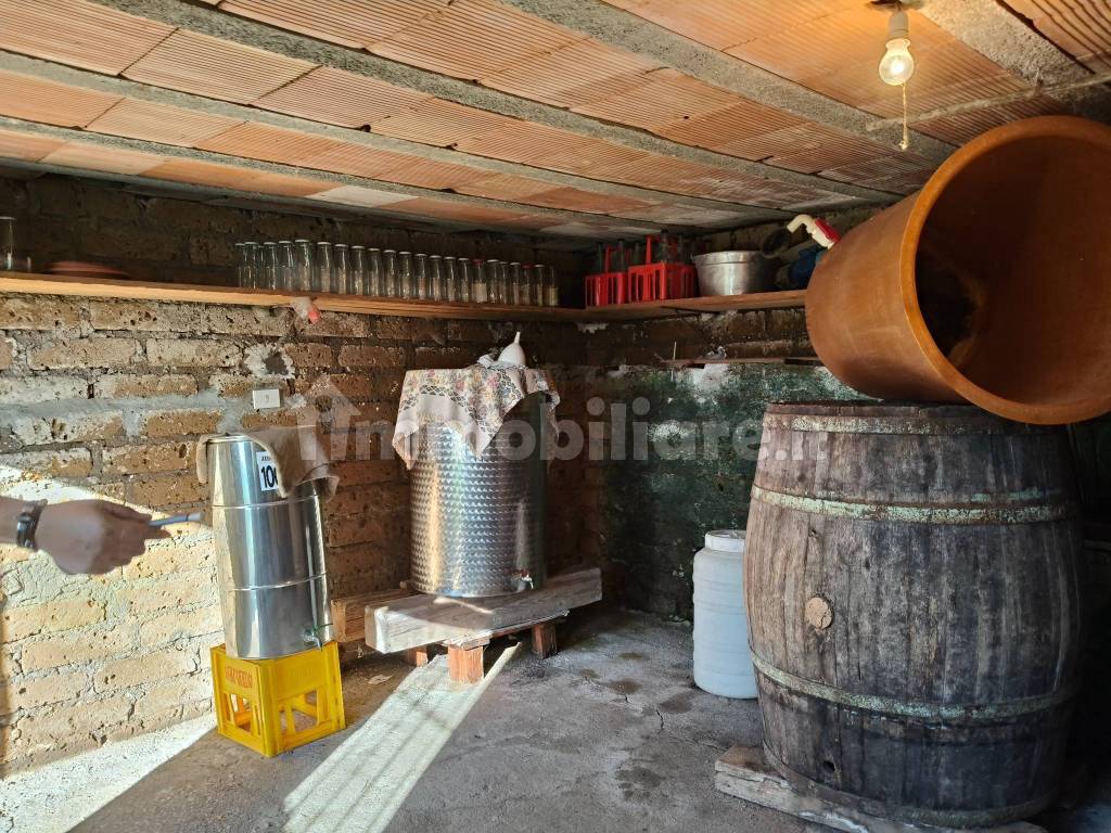 Cantina