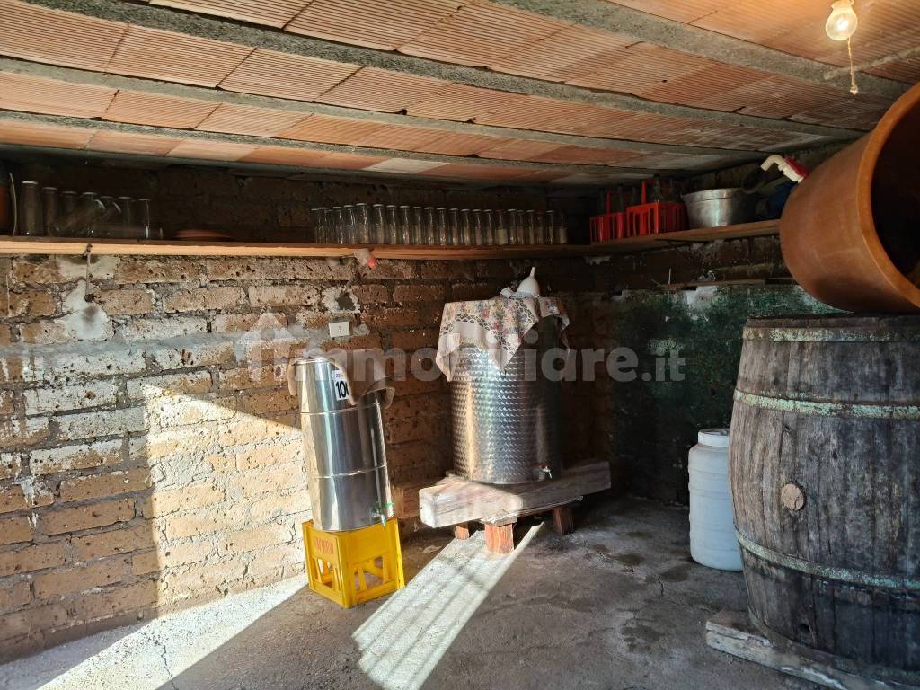 Cantina