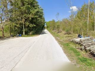 Zona