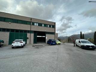 Zona