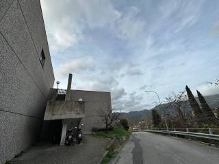 Zona