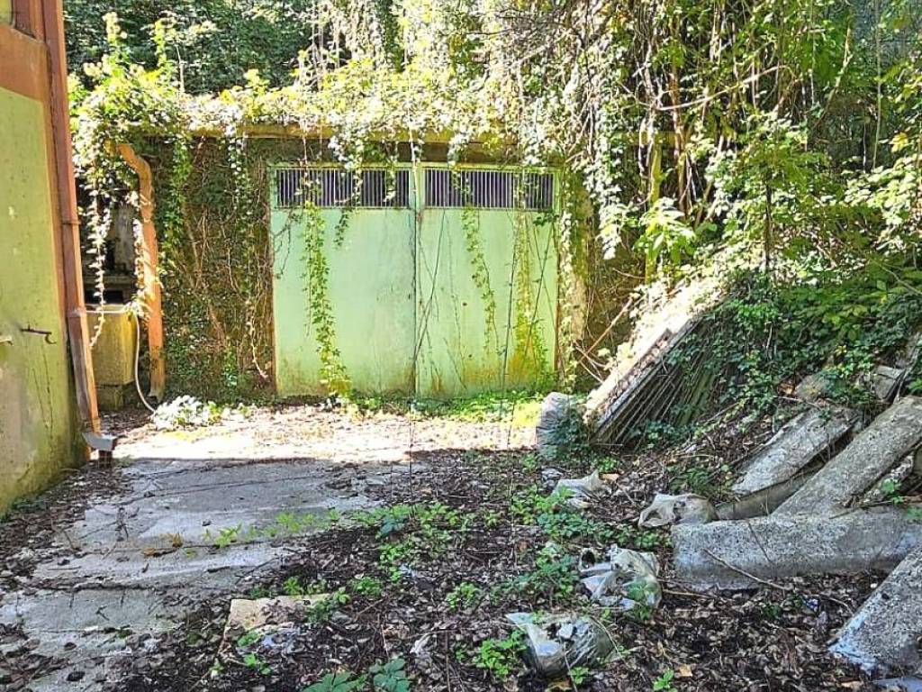 Terreno