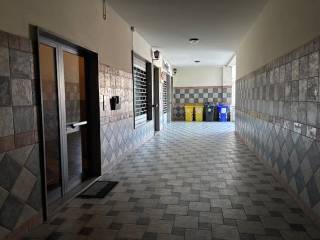 Ingresso