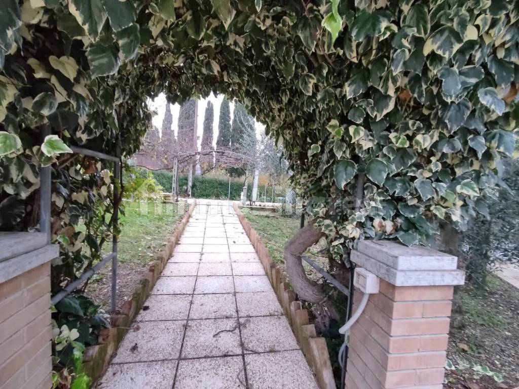 Giardino
