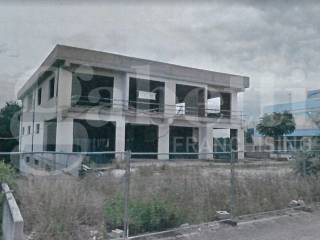 Zona