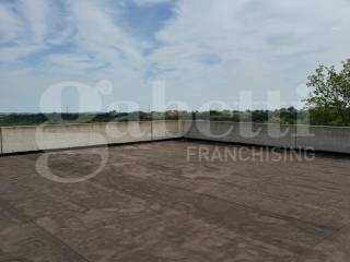 Zona
