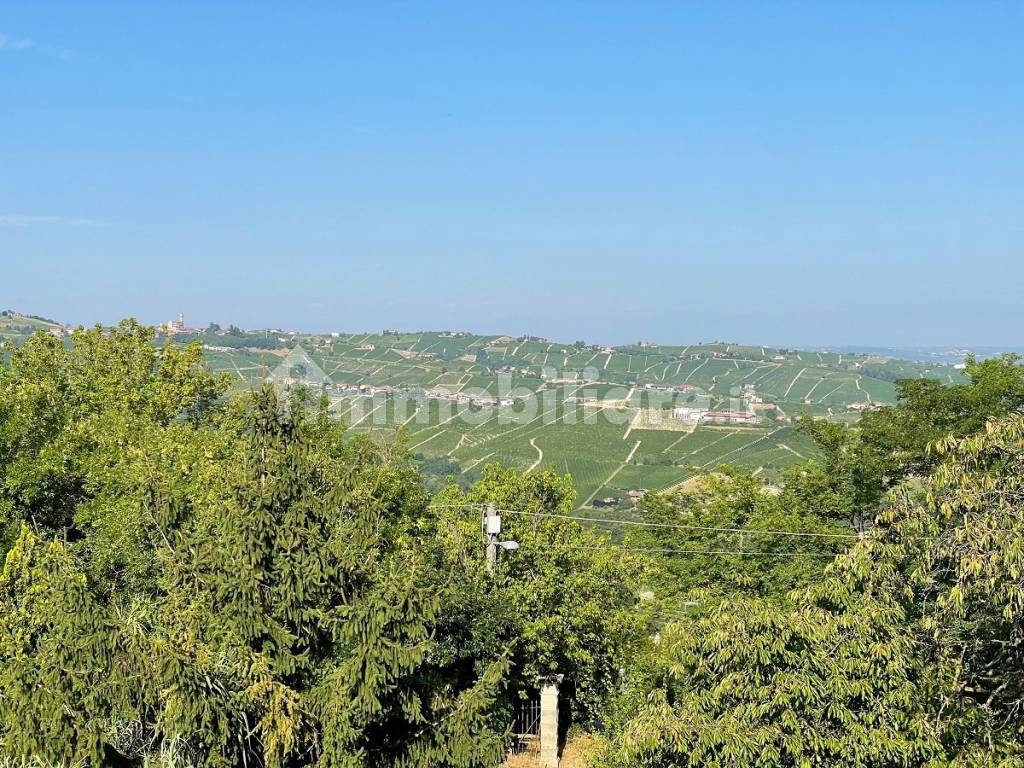 Vista