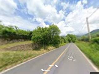 Zona