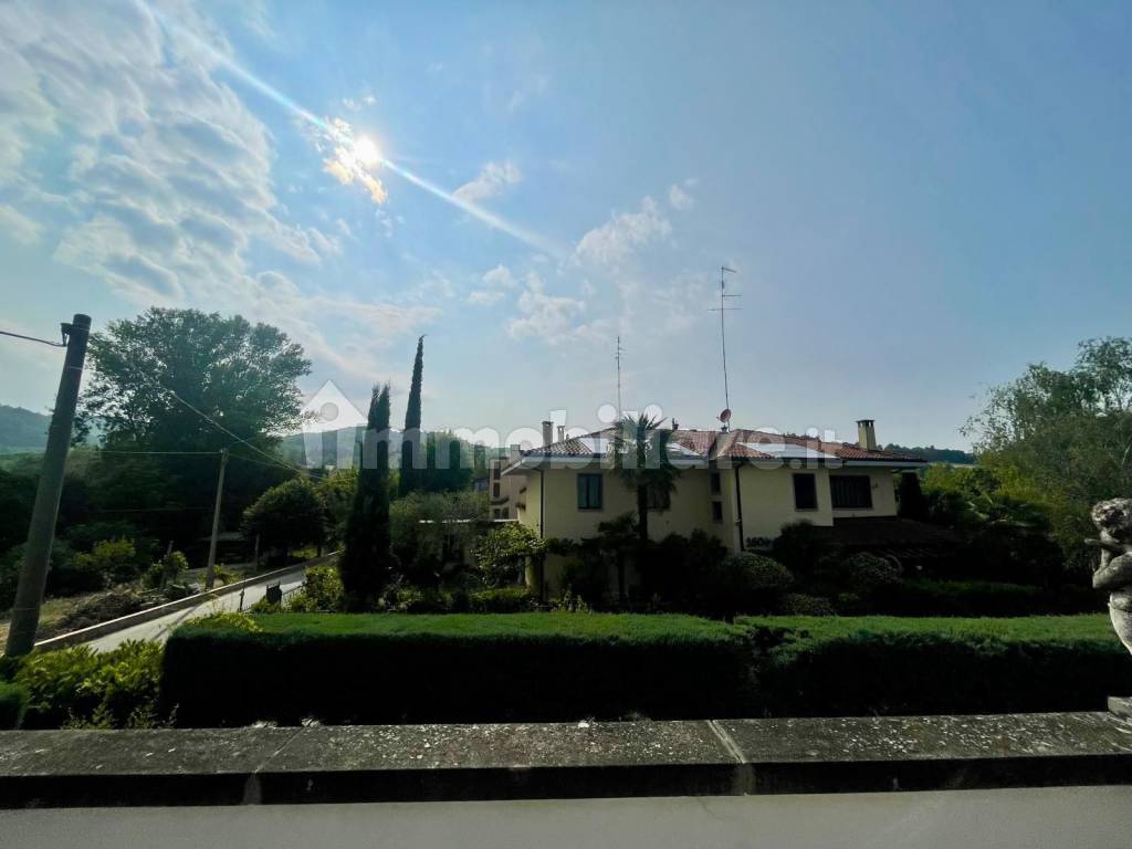 Vista