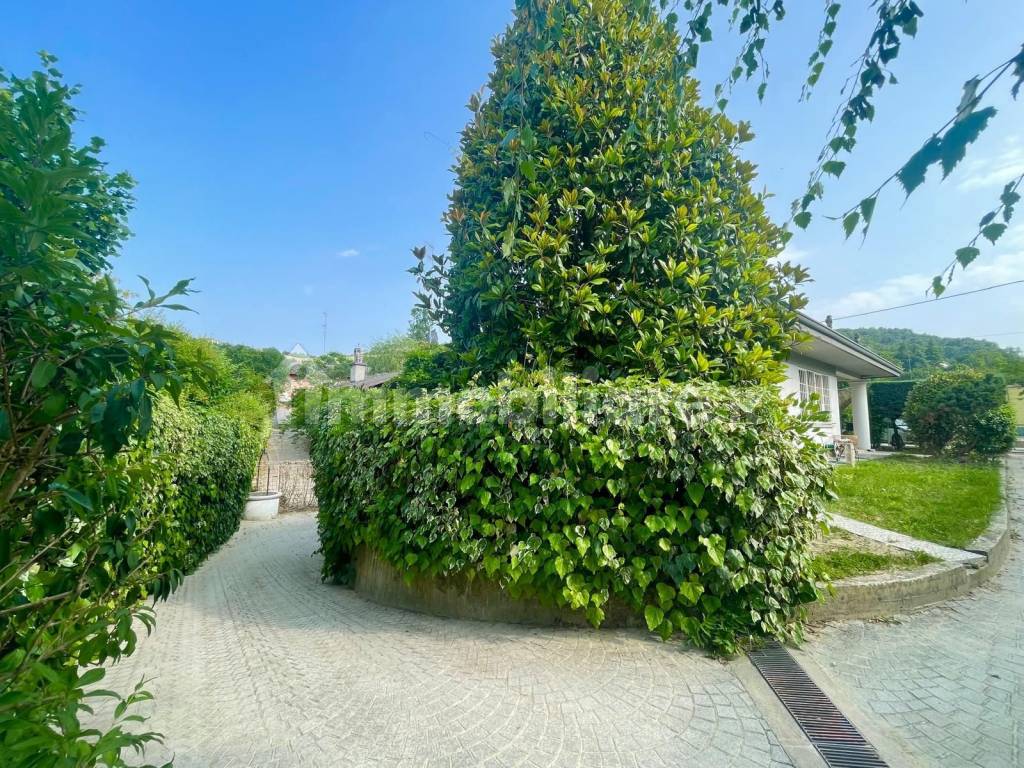Giardino