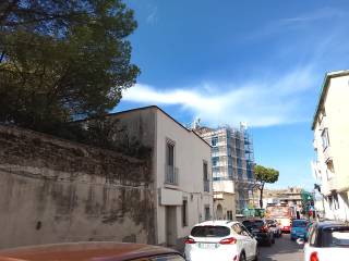 Zona