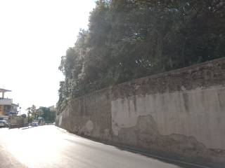Zona