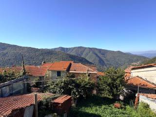Vista