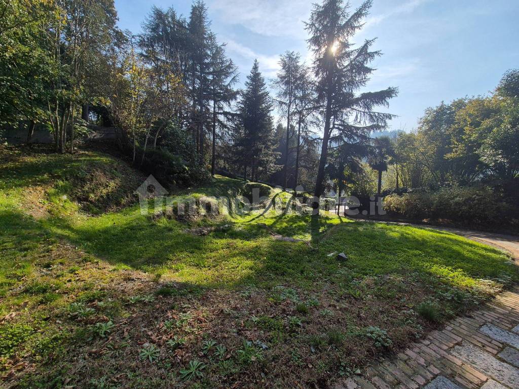 Vista