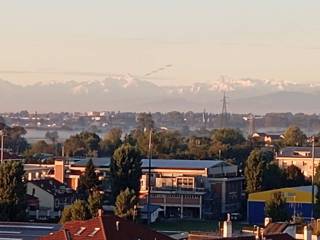 Vista