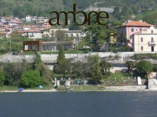 Zona