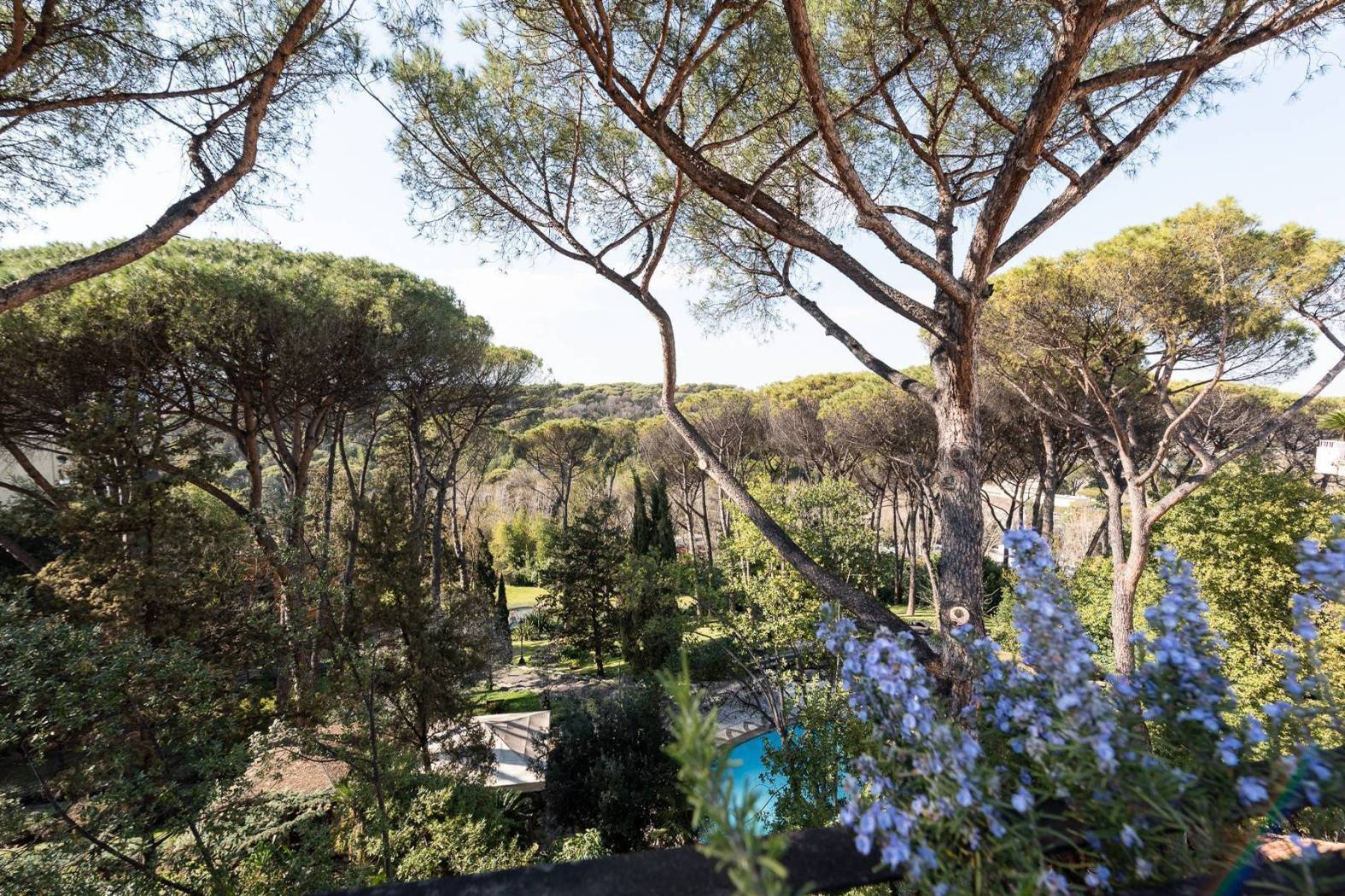 Villa in vendita a Roma