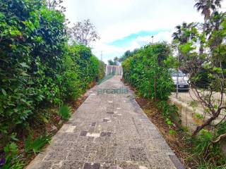 Dettagli