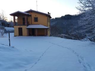 Zona