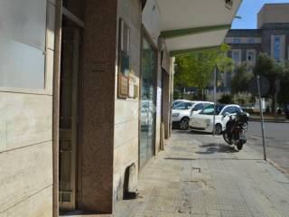Zona