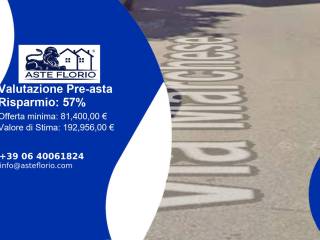 Zona