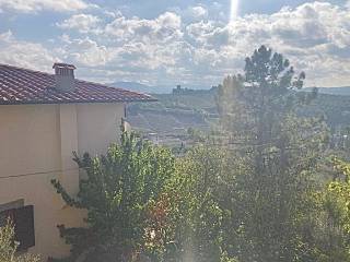 Vista