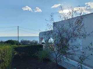 Vista