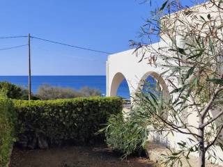 Vista