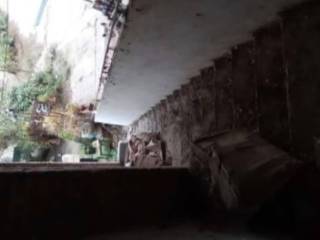 Zona