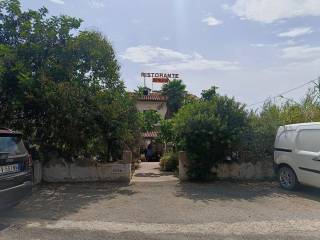 Zona