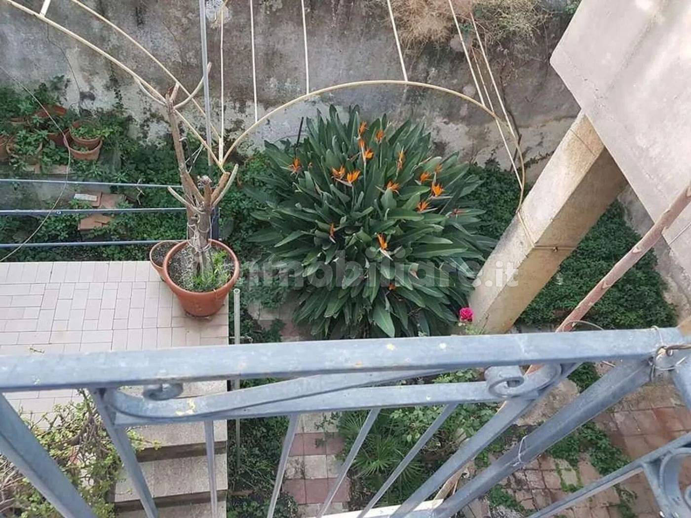 Villa in vendita a Giarre