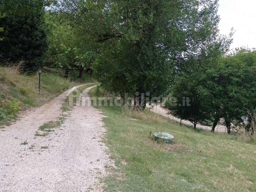 Terreno