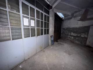 Zona