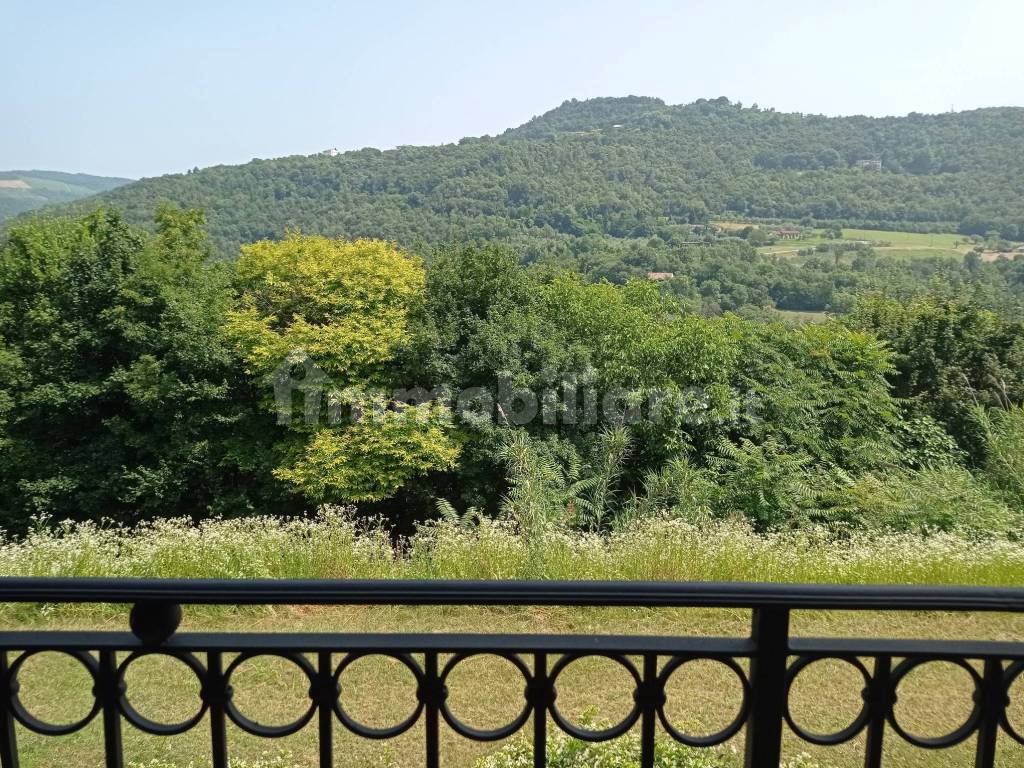 Vista