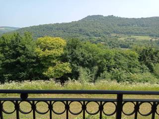 Vista
