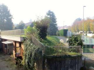 Vista