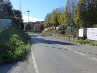 Zona