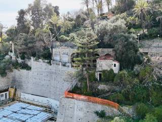 Vista