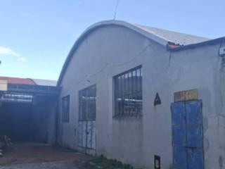Zona