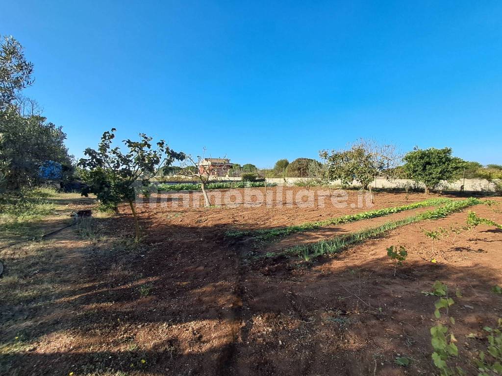 Terreno