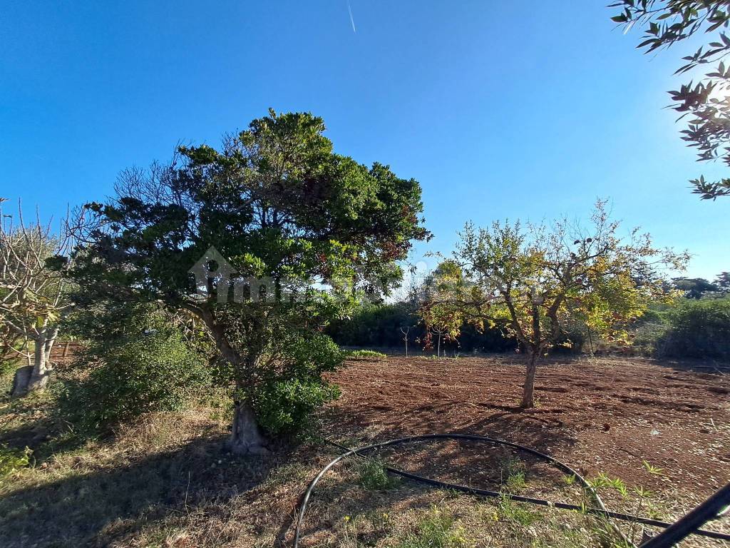 Terreno