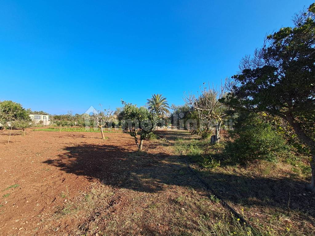 Terreno