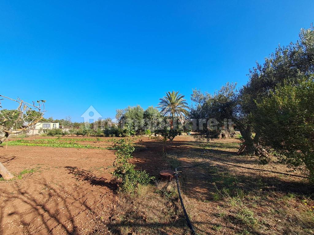 Terreno