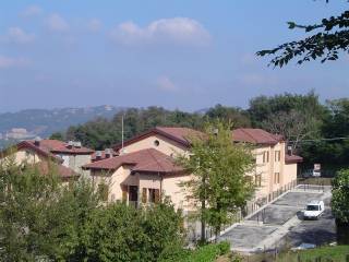 Vista